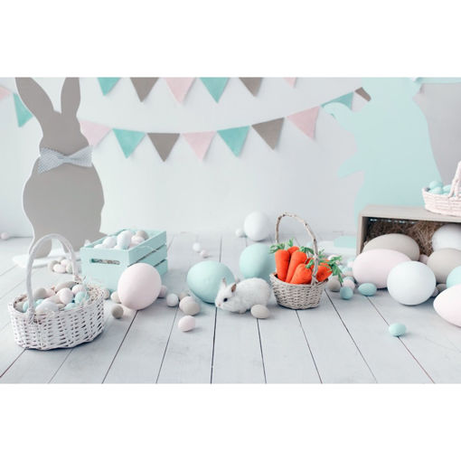 Picture of 5x7FT Vinyl Easter Day Egg Rabbit Radish Photography Backdrop Background Studio Prop