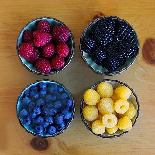 Immagine di Egrow 4000 Pcs/Pack Mixed Color Raspberry Seeds Each 1000 Pcs for Blue Black Red Yellow Fruit Seed