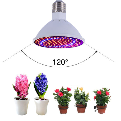 Immagine di 20W E27 166 Red 34 Blue LED Grow Light Plant Lamp Bulb Garden Greenhouse Plant Seeding Light