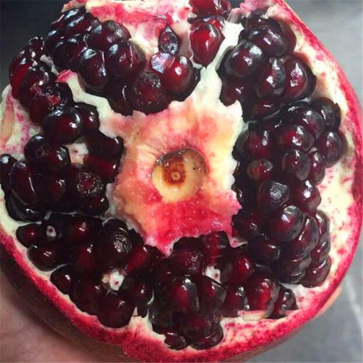 Picture of Egrow 30Pcs/Pack Black Pomegranate Seeds Home Garden Delicious Fruit Tree Bonsai Seeds